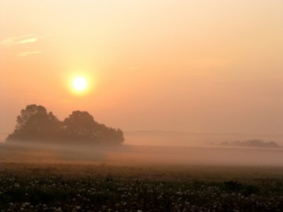 Wake up_4627238078_l.jpg